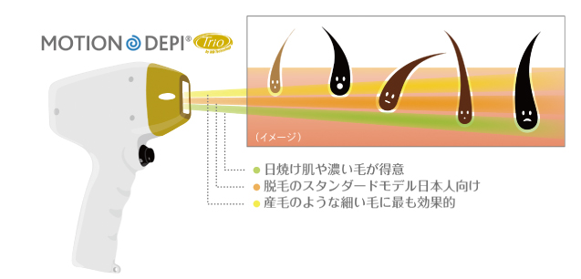 細い毛から太い毛まで幅広く対応可能